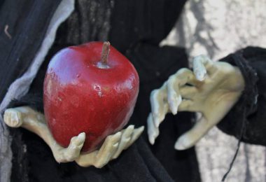 snow white fairy tale apple