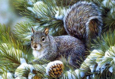 christmas stories squirrel