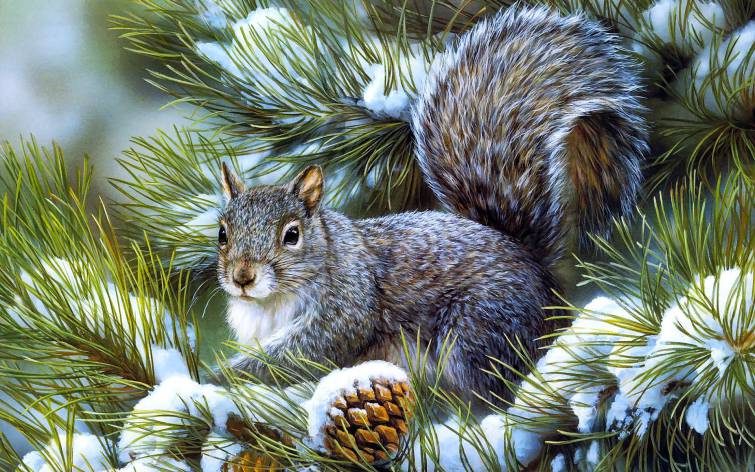 christmas stories squirrel
