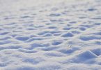Snow footprints stories for kids