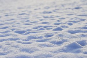 Snow footprints stories for kids