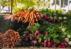 colorful vegetables in a market