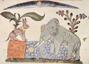 Panchatantra stories brahmin's dream