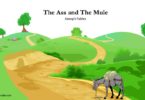 The Ass and The Mule aesop's fables