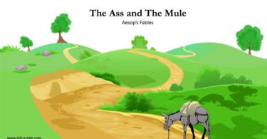 The Ass and The Mule aesop's fables