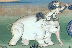 elephant and the dog