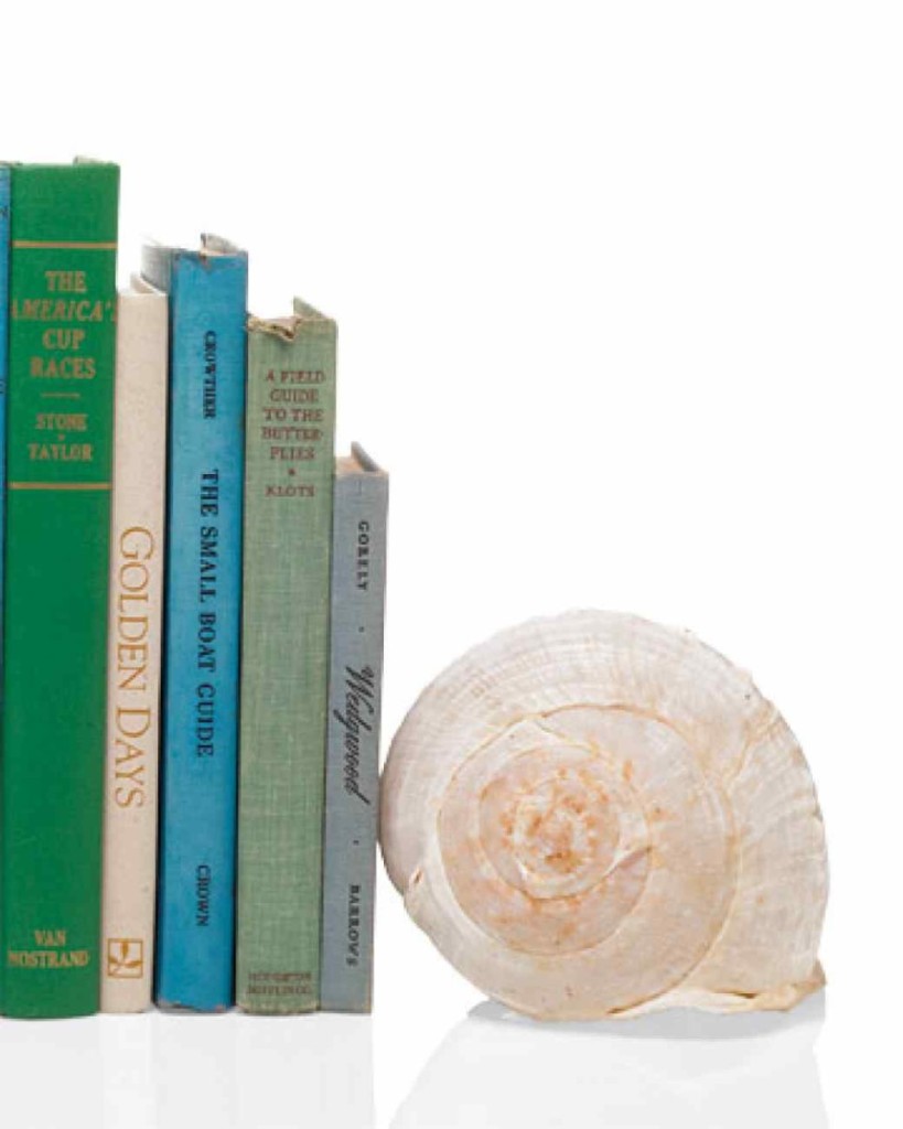 Shell Book Ends