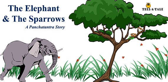 The-Elephant-and-the-Sparrows panchatantra stories from india