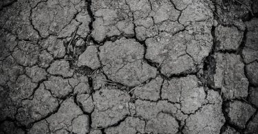 parched and dry earth poems