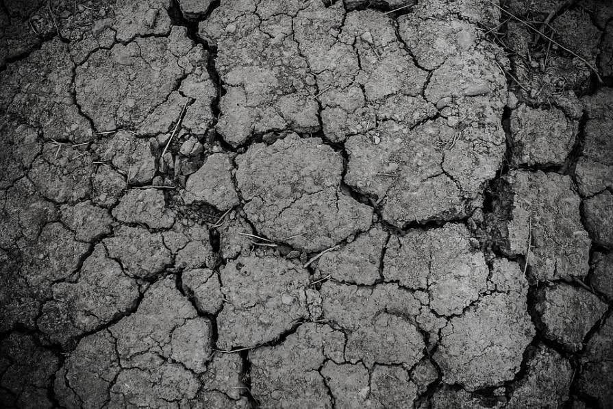 parched and dry earth poems