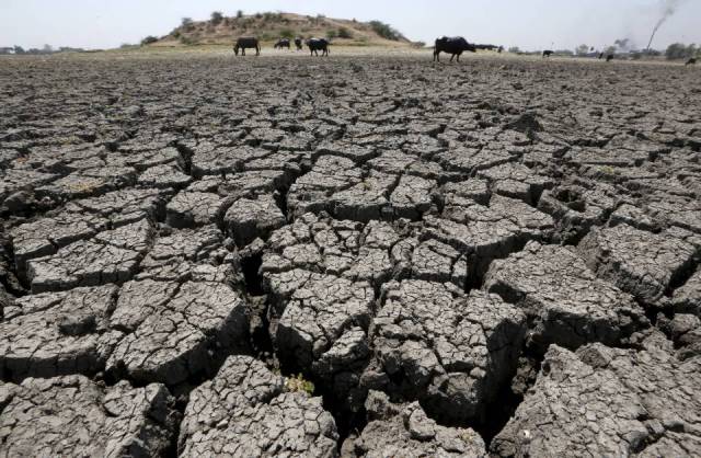 Desert Drought in Marathwada