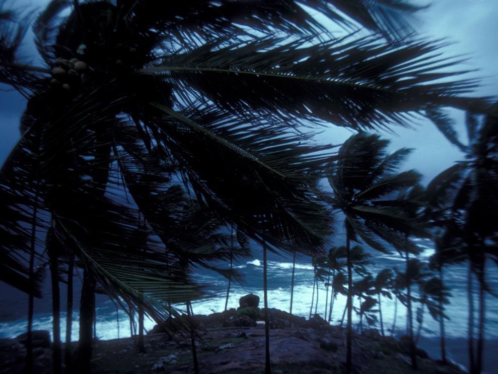 monsoon winds in Kerala