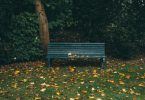stories about love friendship bench in park