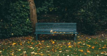 stories about love friendship bench in park