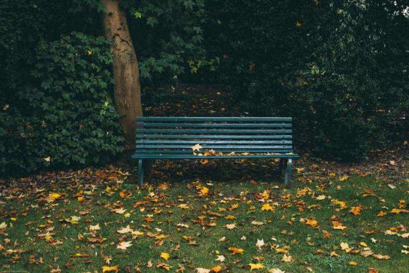 stories about love friendship bench in park