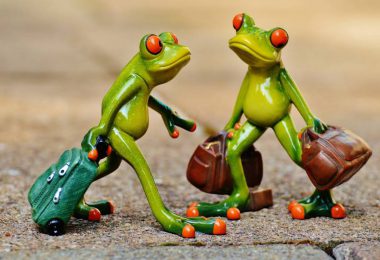 tale of two frogs folklore