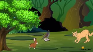 Le jugement du chat histoire panchatantra's Judgement panchatantra story