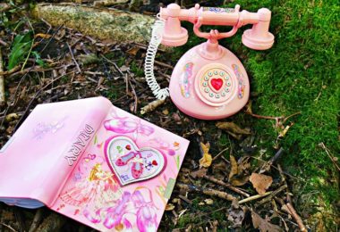 Diary and Telephone in grass outside