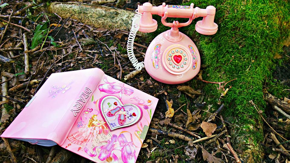 Diary and Telephone in grass outside