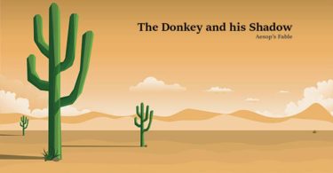 donkey and the shadow