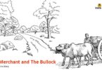 the merchant and the bullock