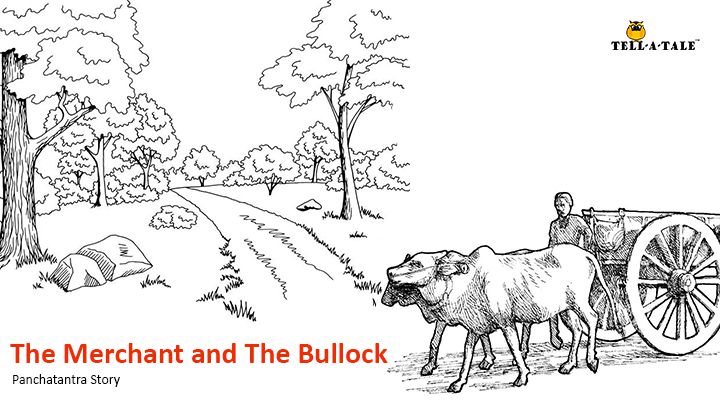 the merchant and the bullock